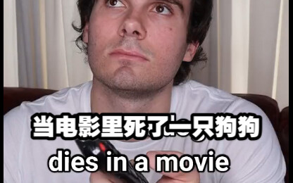 当电影里死了一只狗狗：