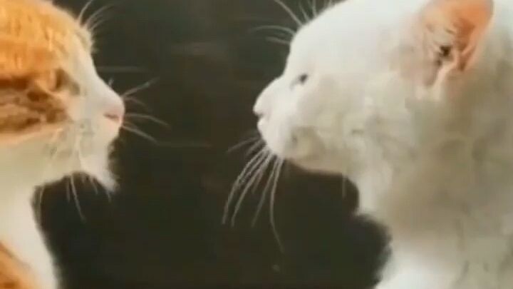 Nag Mahal lng nman sya