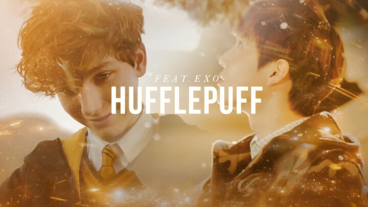 Badger House Elicits Tears ⚠️ Epic Magical Masterpiece • Blockbuster Sensation! [HP/Hufflepuff/EXO]