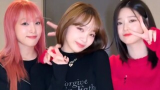 IZONE再合体！【金采源+金珉周+崔叡娜】一起Perfect Night挑战！