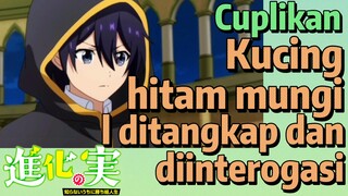 Cuplikan | Kucing hitam mungil ditangkap dan diinterogasi