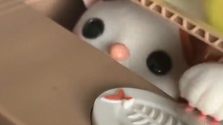 แมว: ? แม่จ๋าเพิ่งออกมาจากกล่องเหรอ?