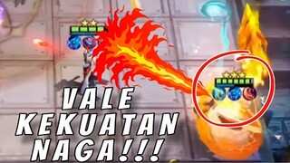 VALE DRAGON!! PAKE ITEM ZILONG, TERNYATA BUAT MAGE GILA JUGA CUY!