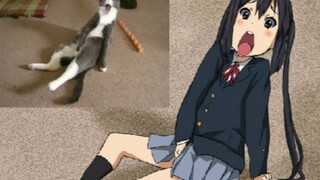 【K-ON!】Black Cat Tango