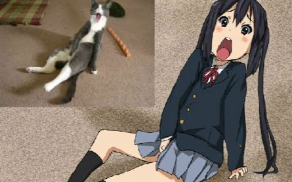 【K-ON!】Black Cat Tango