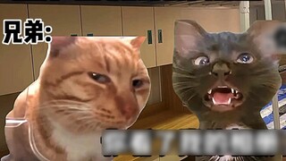 "Cat Meme Drama" When your secret of cross-dressing is known by your best friend!