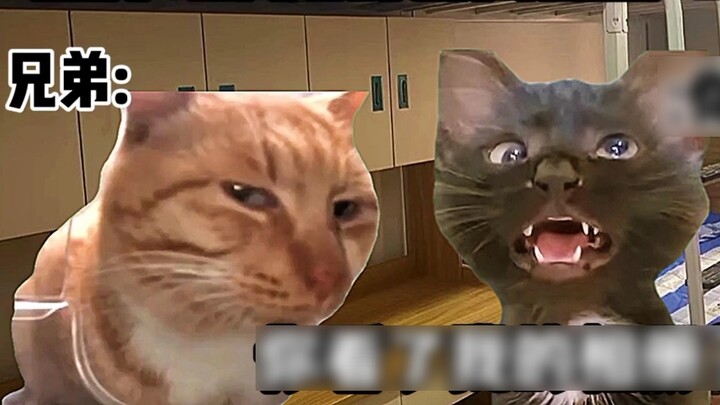 “Cat Meme Theatre” เมื่อความลับของการแต่งตัวข้ามเพศของคุณถูกรู้โดยพี่ชาย!