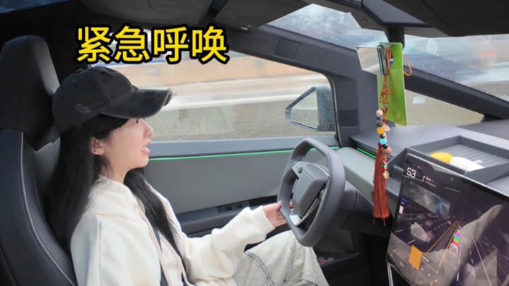 Hồ sơ thuần hóa đồ chơi cyber thời kỳ đầu của loài người