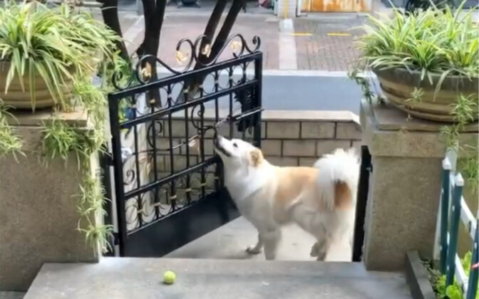 Proses pulang setelah bermain bagi seorang doktor