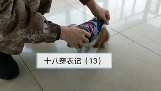 【十八的生活第13集】自从有了十八，兵哥就得多洗一件衣服……