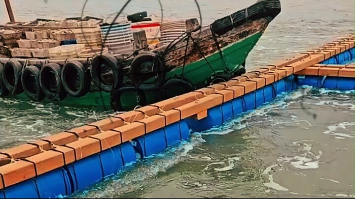 Fish Farms Floating in the Middle of the Ocean?