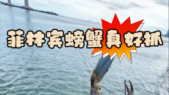 Went crabbing with just 200 bucks—and ended up with way more surprises than I expected!