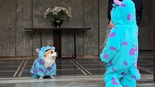 لا بأس من تشابه الملابس، فمن ليس كلبًا هو الذي سيشعر بالحرج!