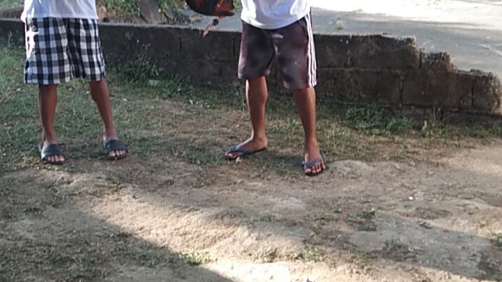 mg unat unat muna ng buto ng mga stag...