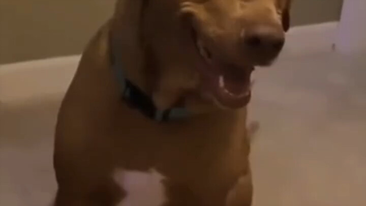 เจ้าหน้าที่ตำรวจฝ่ายสนับสนุน: ก็คุณให้ผมหาชั่วโมงทำงานใช่ไหม? "ต่อต้านการฉ้อโกง" เรื่องพลิกโผ