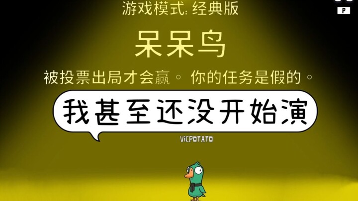 Truyền thuyết về chú chim ngốc bị ném đá nhanh nhất: “Không phải tôi, không phải tôi, sao các bạn cứ