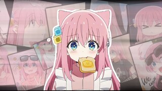 波奇酱