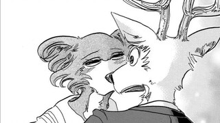 Khi sói yêu một con nai! Juno bất ngờ hôn Louis một cách cưỡng bức và âm mưu bùng nổ! 【BEASTARS/Động