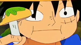 jamur ketawa vs jamur marah 😂Luffy makan jamur beracun