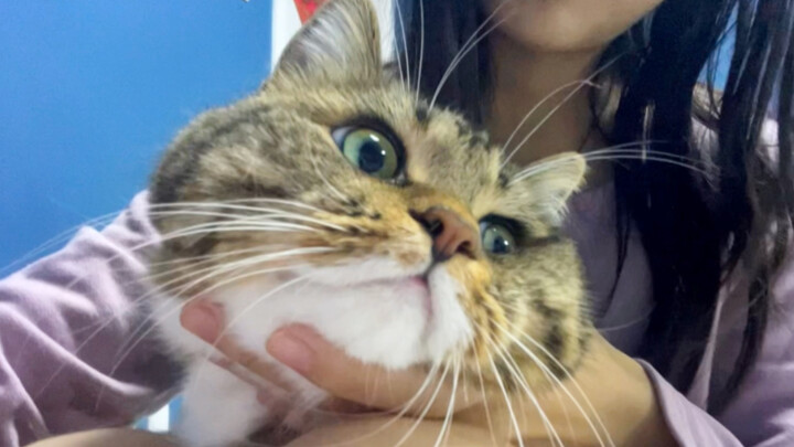 จิบหูแมวน้อยสักคำ