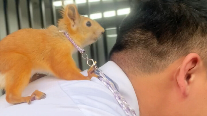 เกือบโดนกระรอกน้อยฟันแล้ว!