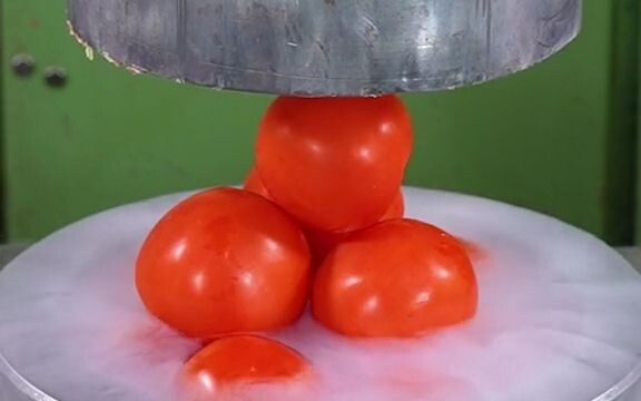 [Máy ép thủy lực nghiền mọi thứ] Cà chua