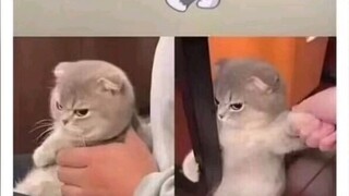 อีกขวด