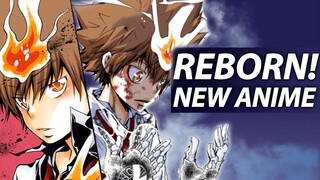 NEW REBORN 2022 ANIME CONTINUATION!? | Future of Katekyo Hitman REBORN!