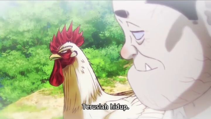 rooster fighter