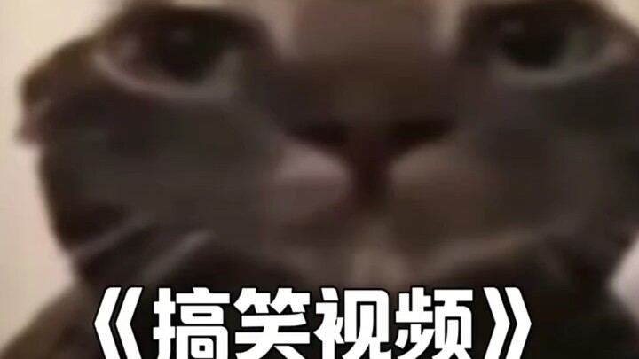 امم~ ابتسم كل يوم ودع همومك تذهب