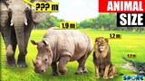 Wild Animals Tournament Arena Size Comparison | SPORE