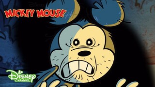 Mi Pequeño Jardín | Mickey Mouse