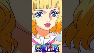 เมื่อสตุสซี่ทำงานให้กับพวกเวก้าพังค์ | One Piece : วันพีช ตอนที่ 1105