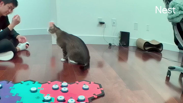 Fufu: I actually don’t really want to eat it—I’m just messing with my dad.