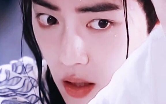 Xiao Zhan: With eyes full of charm, the water is like ripples in his gaze, and the mountains resembl