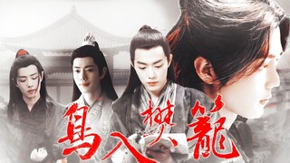 鸟入樊笼丨 下集  尽管恨我吧..../暗黑向 强制慎入 染三 双影羡 肖战水仙