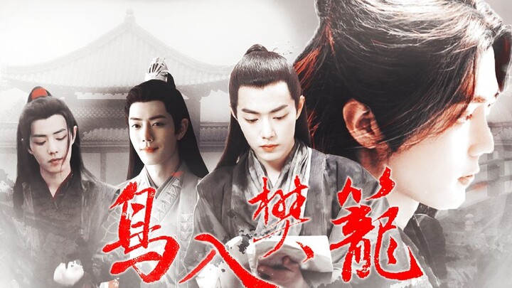 鸟入樊笼丨 下集  尽管恨我吧..../暗黑向 强制慎入 染三 双影羡 肖战水仙