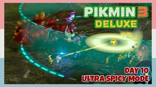 Successful Run For More Fruits & Pikmin 💕 - Day 10 (Ultra Spicy Mode, No Commentary) Pikmin 3 Deluxe