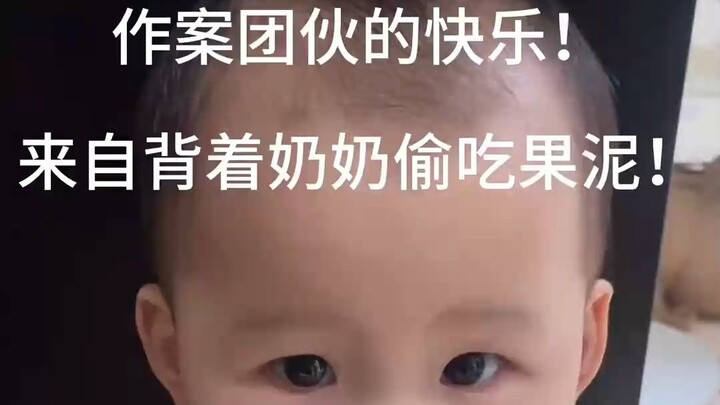 My grandma refuses to let the baby eat store-bought fruit puree, always worried it contains preserva