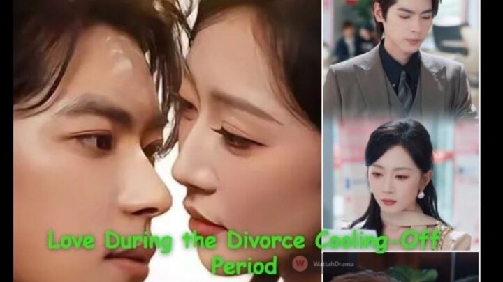 Love During the Divorce Cooling-Off Period 爱在离婚冷静期