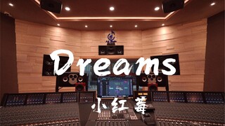 在百万豪装录音棚大声听小红莓乐队The Cranberries《Dreams》【Hi-res】