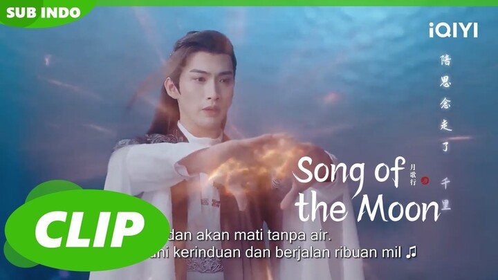 Luo Ning Mengingat Cinta Masa Lalunya dengan Fu | Song of the Moon | CLIP | EP32 | iQIYI Indonesia