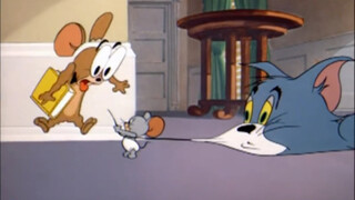 A newborn mouse isn't afraid of a cat.