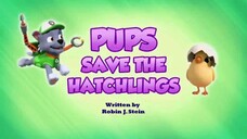 paw patrol Musim 9 Episode 8 Bahasa indonesia Vision+