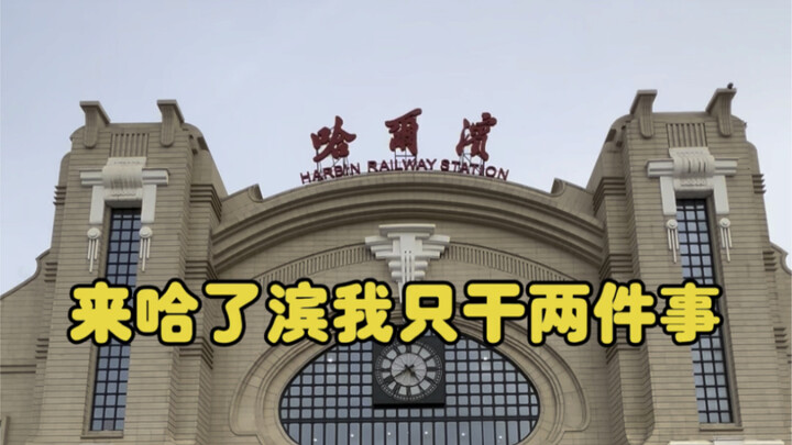 Khi đến Cáp Nhĩ Tân, tôi chỉ làm hai việc.