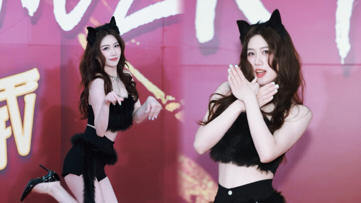 Bangun ulang pembuka ini! aoa – Langkah Kucing yang Manis & Imut Versi Lengkap