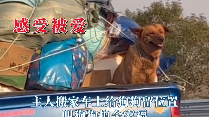 被重视的感觉真好啊，叫来狗狗拍全家福