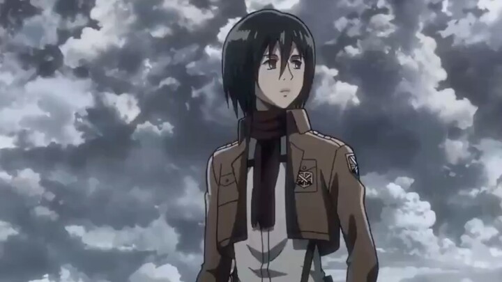 Mikasa provjp quá cácông🙄