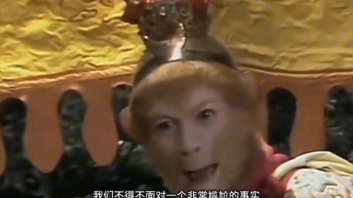 "Monyet Tingkat Kepala Dinas"