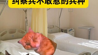 纠察兵都不敢惹的三大兵种